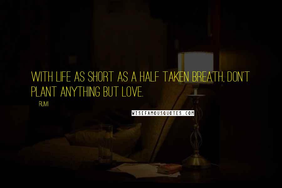 Rumi Quotes: With life as short as a half taken breath, don't plant anything but love.