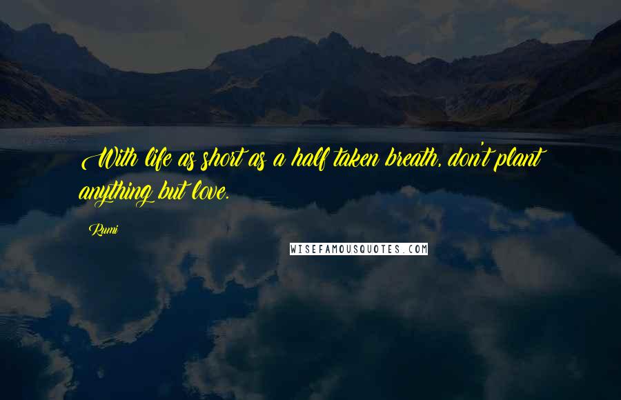 Rumi Quotes: With life as short as a half taken breath, don't plant anything but love.