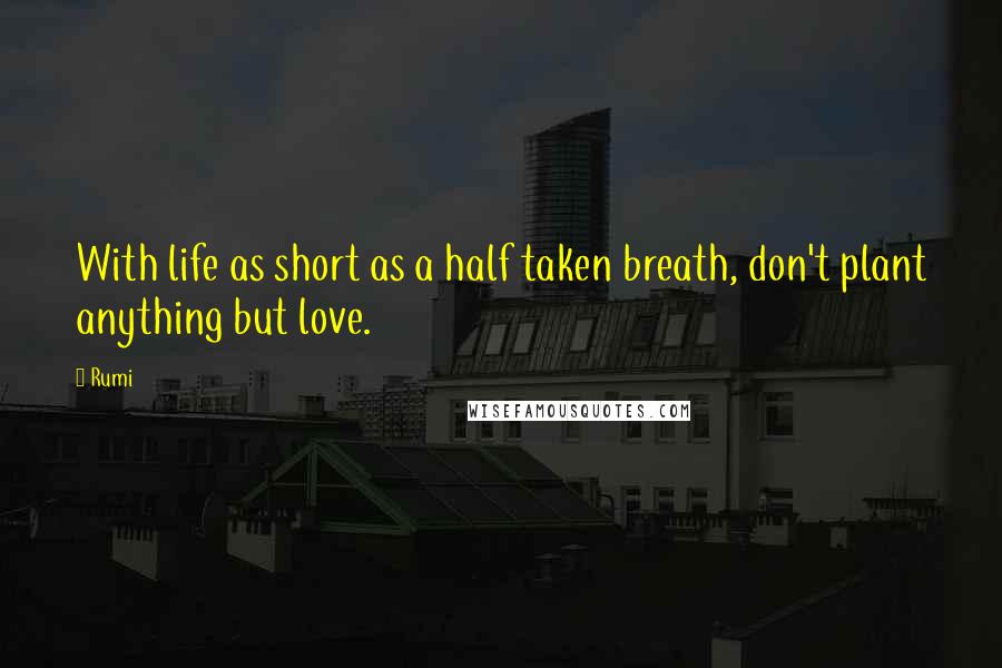 Rumi Quotes: With life as short as a half taken breath, don't plant anything but love.