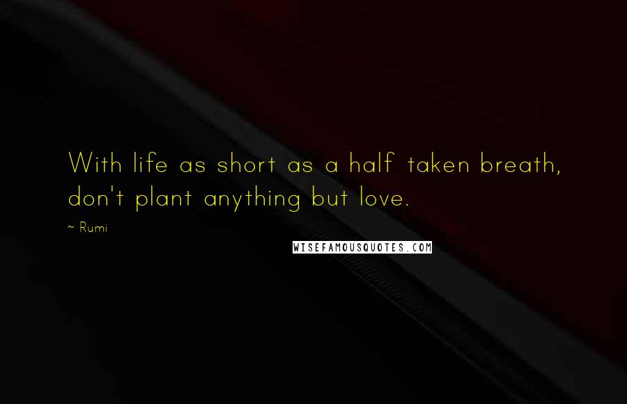 Rumi Quotes: With life as short as a half taken breath, don't plant anything but love.