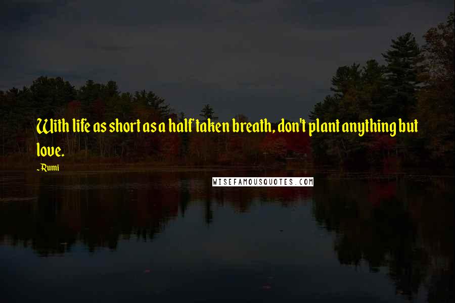 Rumi Quotes: With life as short as a half taken breath, don't plant anything but love.