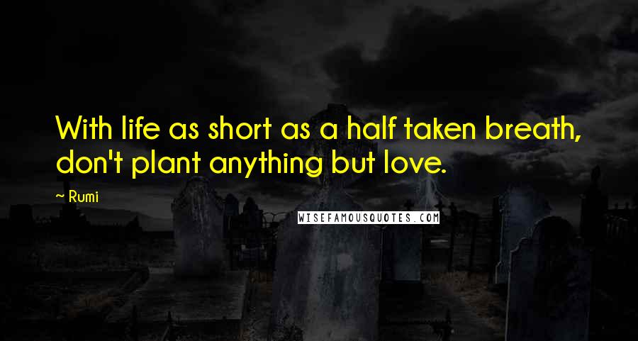 Rumi Quotes: With life as short as a half taken breath, don't plant anything but love.