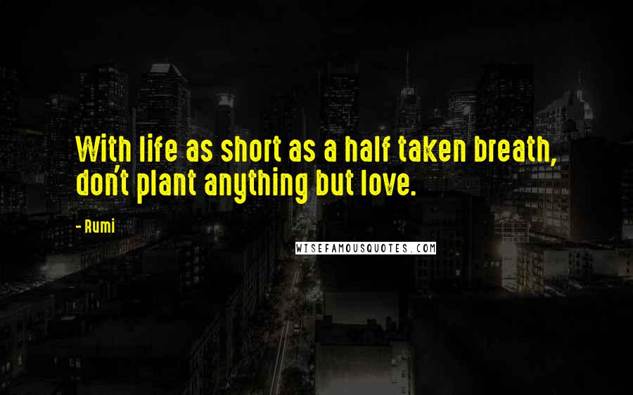 Rumi Quotes: With life as short as a half taken breath, don't plant anything but love.