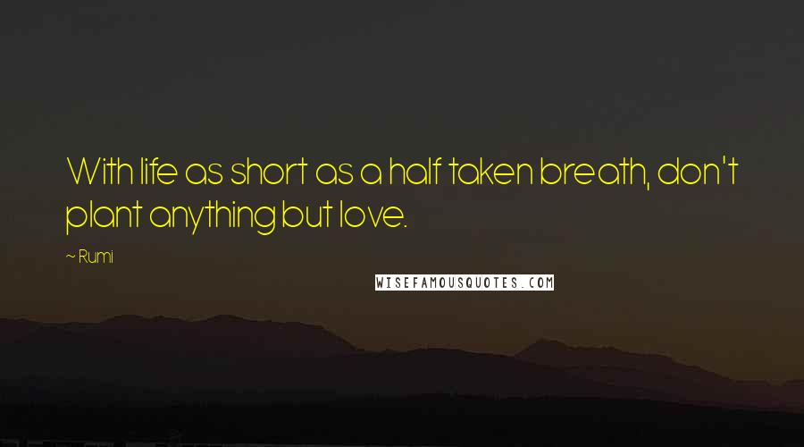 Rumi Quotes: With life as short as a half taken breath, don't plant anything but love.