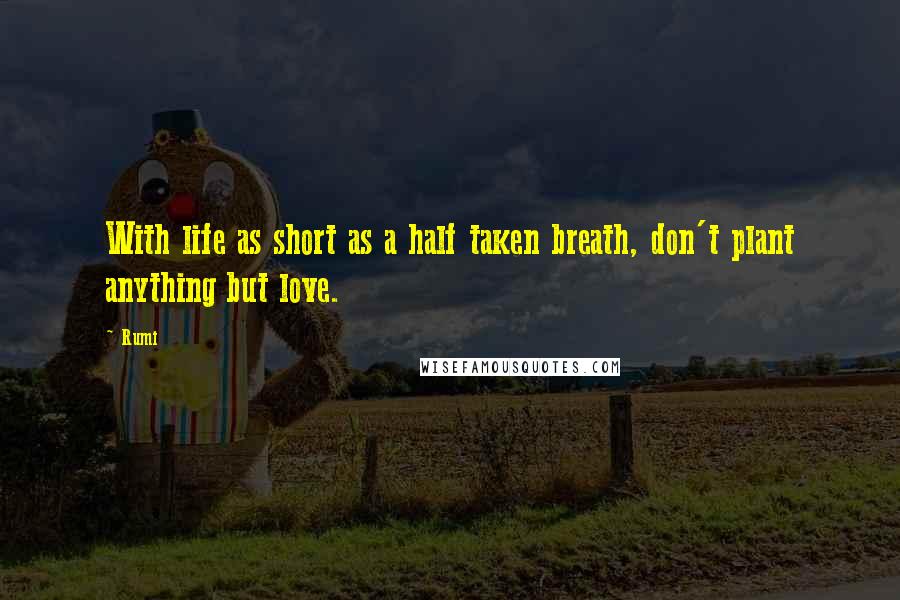 Rumi Quotes: With life as short as a half taken breath, don't plant anything but love.