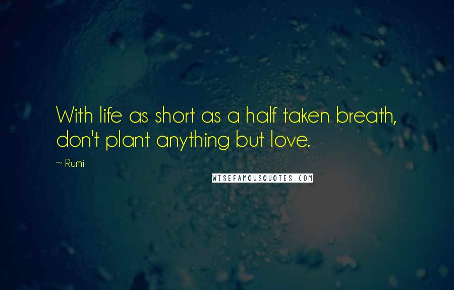 Rumi Quotes: With life as short as a half taken breath, don't plant anything but love.