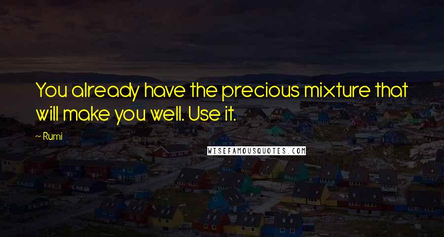 Rumi Quotes: You already have the precious mixture that will make you well. Use it.