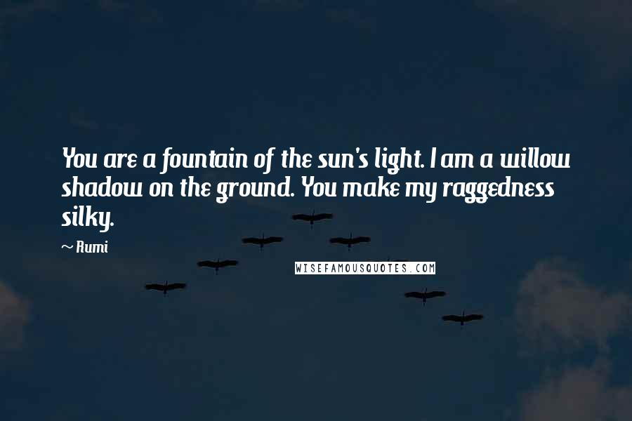 Rumi Quotes: You are a fountain of the sun's light. I am a willow shadow on the ground. You make my raggedness silky.