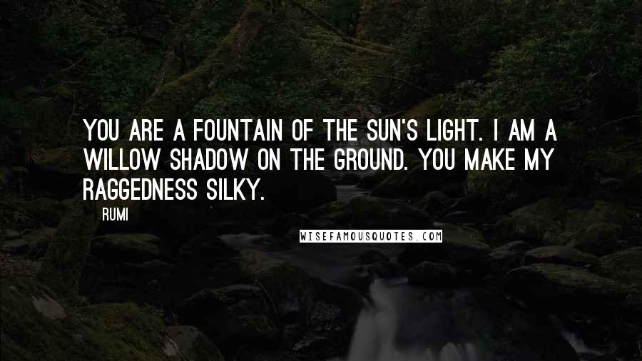 Rumi Quotes: You are a fountain of the sun's light. I am a willow shadow on the ground. You make my raggedness silky.