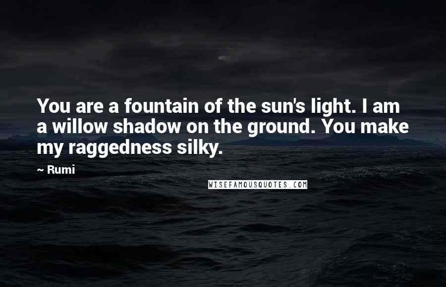 Rumi Quotes: You are a fountain of the sun's light. I am a willow shadow on the ground. You make my raggedness silky.