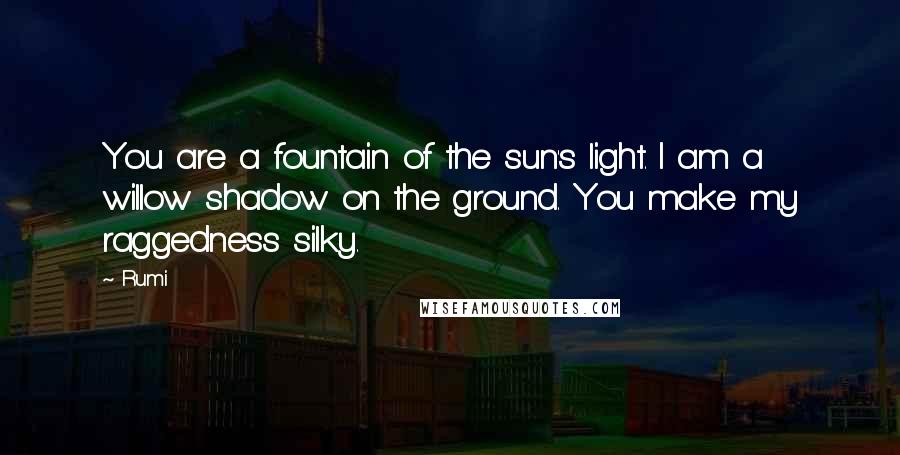 Rumi Quotes: You are a fountain of the sun's light. I am a willow shadow on the ground. You make my raggedness silky.