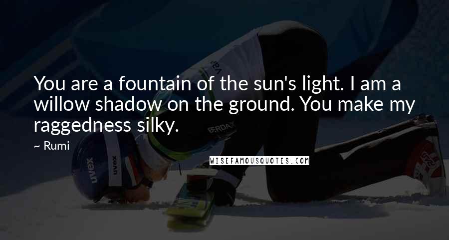 Rumi Quotes: You are a fountain of the sun's light. I am a willow shadow on the ground. You make my raggedness silky.