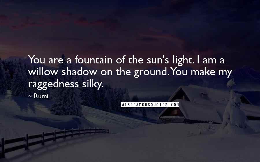 Rumi Quotes: You are a fountain of the sun's light. I am a willow shadow on the ground. You make my raggedness silky.