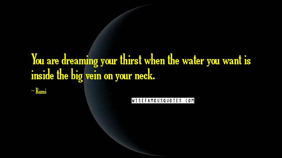 Rumi Quotes: You are dreaming your thirst when the water you want is inside the big vein on your neck.