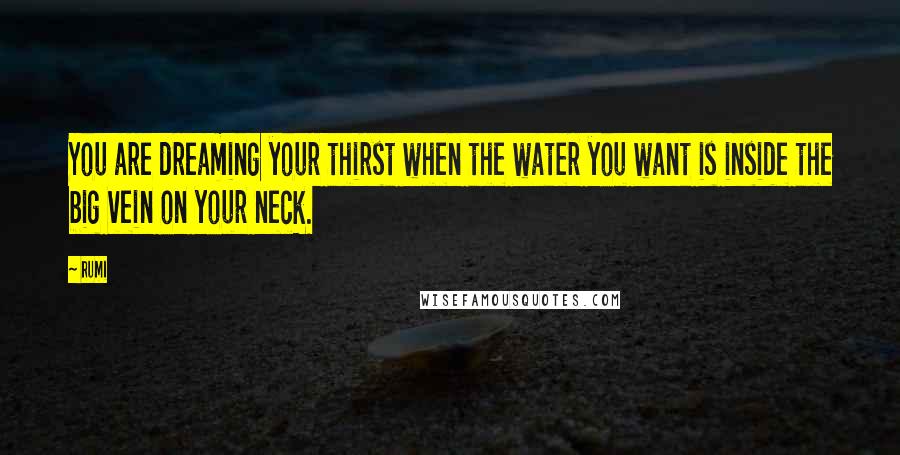 Rumi Quotes: You are dreaming your thirst when the water you want is inside the big vein on your neck.