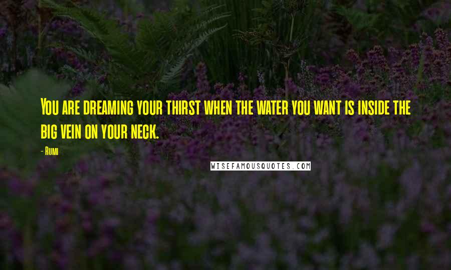 Rumi Quotes: You are dreaming your thirst when the water you want is inside the big vein on your neck.