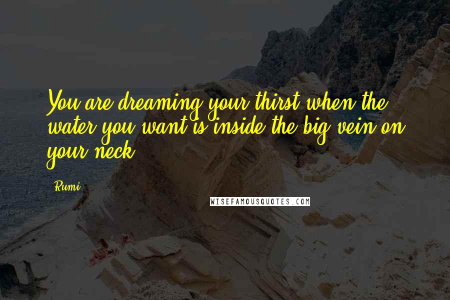 Rumi Quotes: You are dreaming your thirst when the water you want is inside the big vein on your neck.