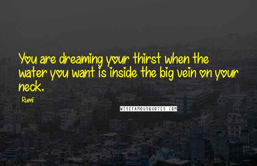Rumi Quotes: You are dreaming your thirst when the water you want is inside the big vein on your neck.