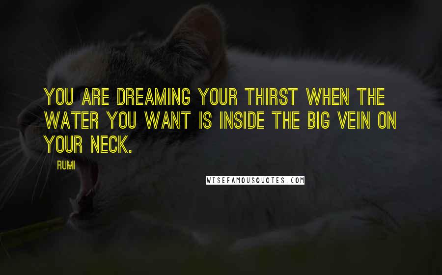 Rumi Quotes: You are dreaming your thirst when the water you want is inside the big vein on your neck.