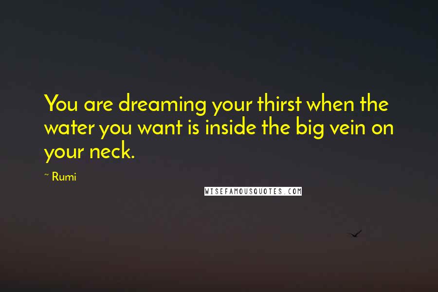 Rumi Quotes: You are dreaming your thirst when the water you want is inside the big vein on your neck.