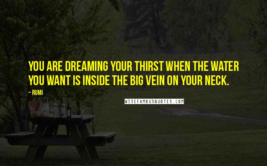 Rumi Quotes: You are dreaming your thirst when the water you want is inside the big vein on your neck.