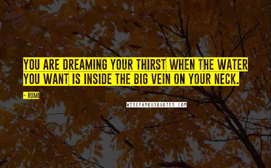 Rumi Quotes: You are dreaming your thirst when the water you want is inside the big vein on your neck.