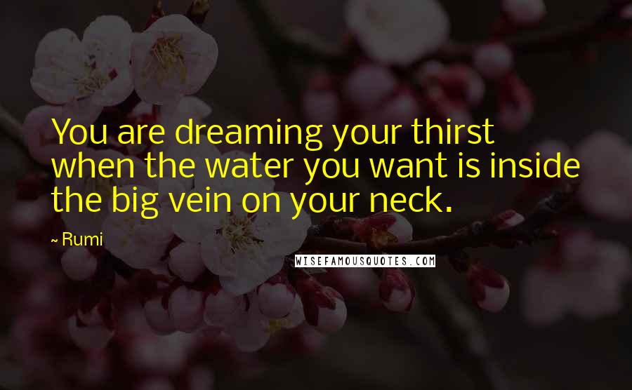 Rumi Quotes: You are dreaming your thirst when the water you want is inside the big vein on your neck.