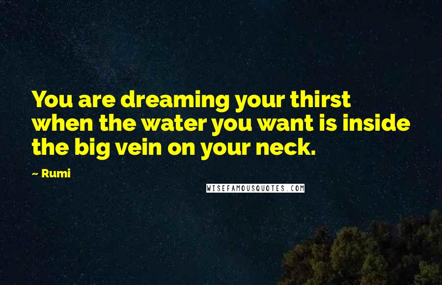 Rumi Quotes: You are dreaming your thirst when the water you want is inside the big vein on your neck.