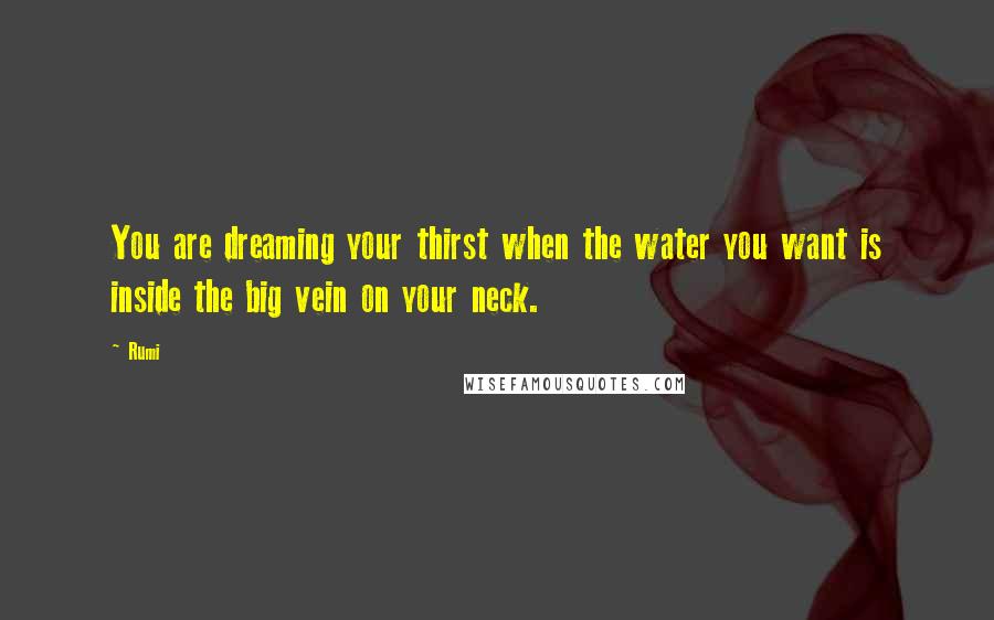 Rumi Quotes: You are dreaming your thirst when the water you want is inside the big vein on your neck.