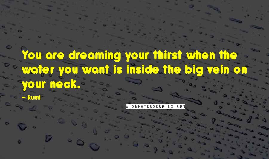 Rumi Quotes: You are dreaming your thirst when the water you want is inside the big vein on your neck.