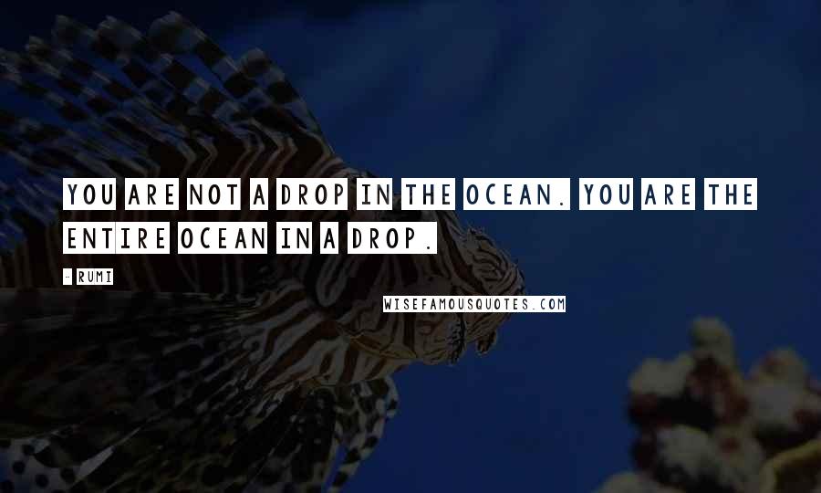 Rumi Quotes: You are not a drop in the ocean. You are the entire ocean in a drop.