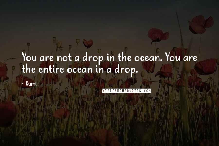 Rumi Quotes: You are not a drop in the ocean. You are the entire ocean in a drop.