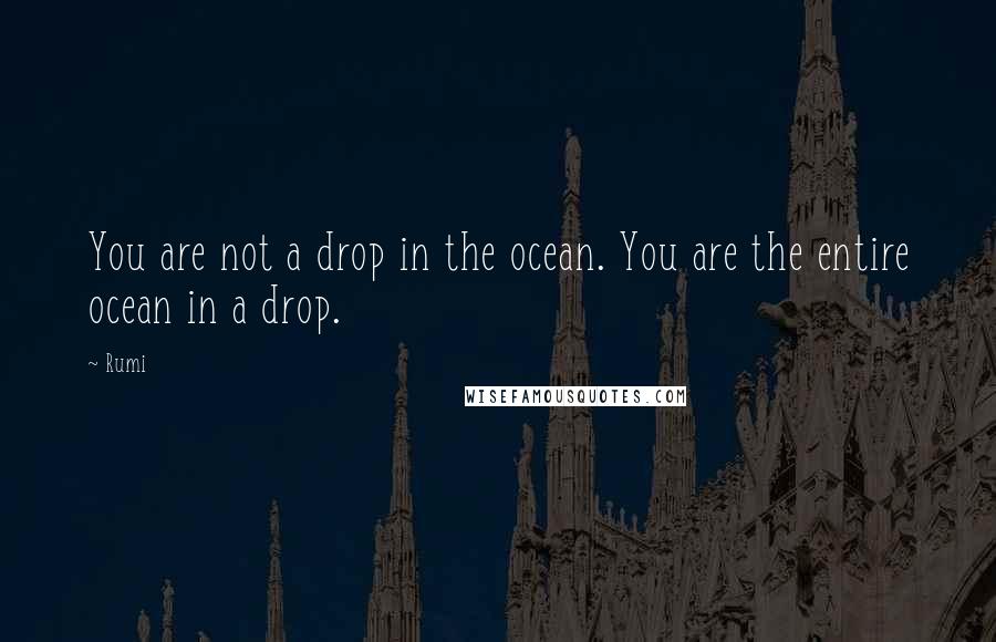 Rumi Quotes: You are not a drop in the ocean. You are the entire ocean in a drop.