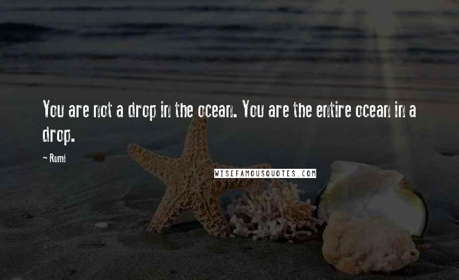 Rumi Quotes: You are not a drop in the ocean. You are the entire ocean in a drop.