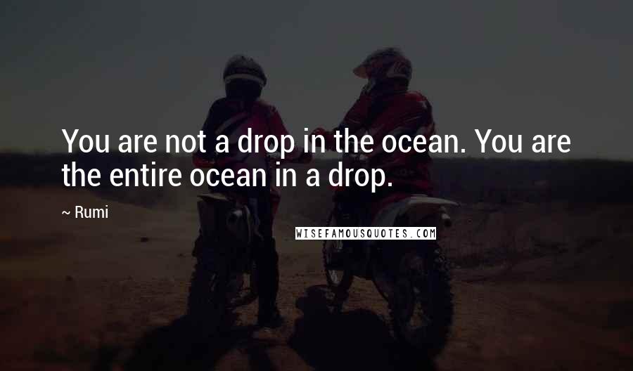 Rumi Quotes: You are not a drop in the ocean. You are the entire ocean in a drop.
