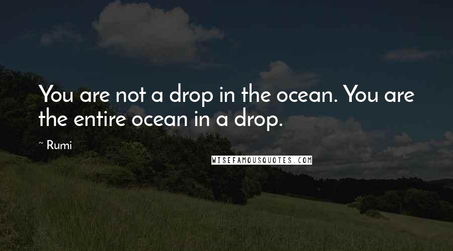 Rumi Quotes: You are not a drop in the ocean. You are the entire ocean in a drop.