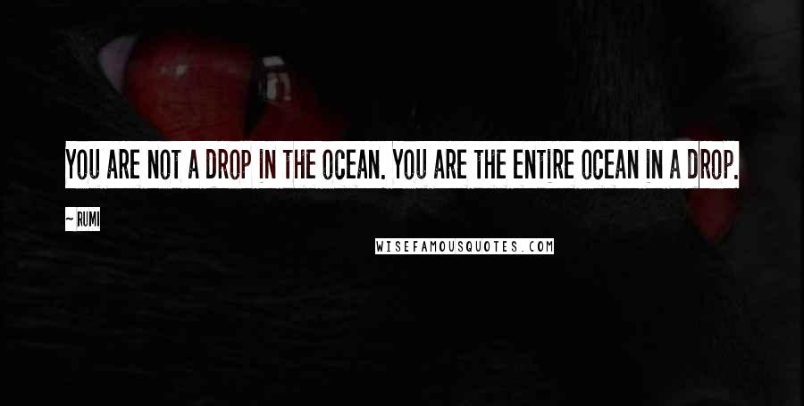 Rumi Quotes: You are not a drop in the ocean. You are the entire ocean in a drop.