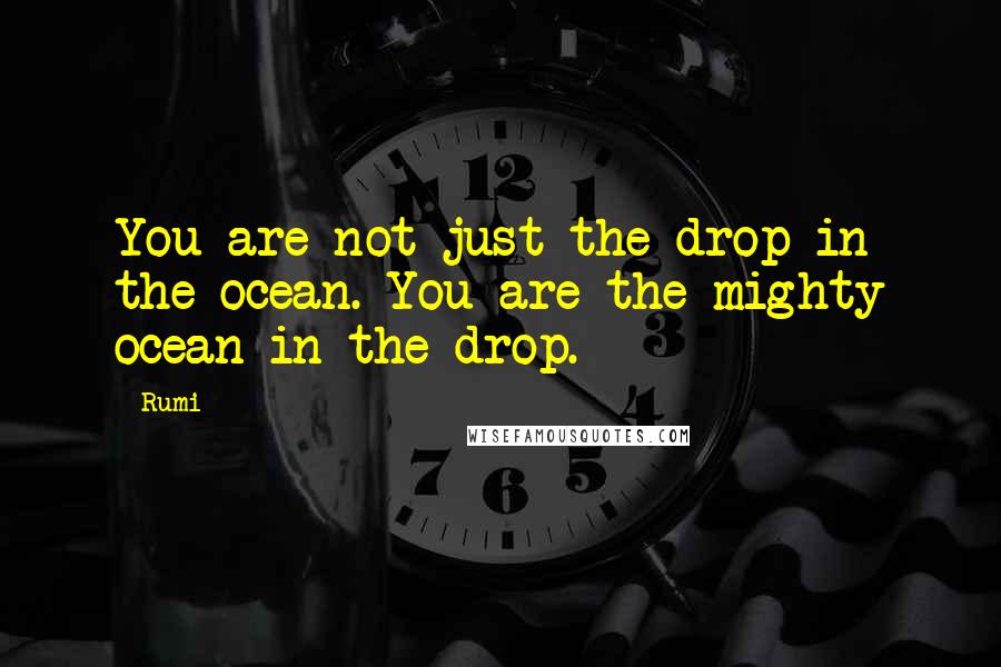 Rumi Quotes: You are not just the drop in the ocean. You are the mighty ocean in the drop.