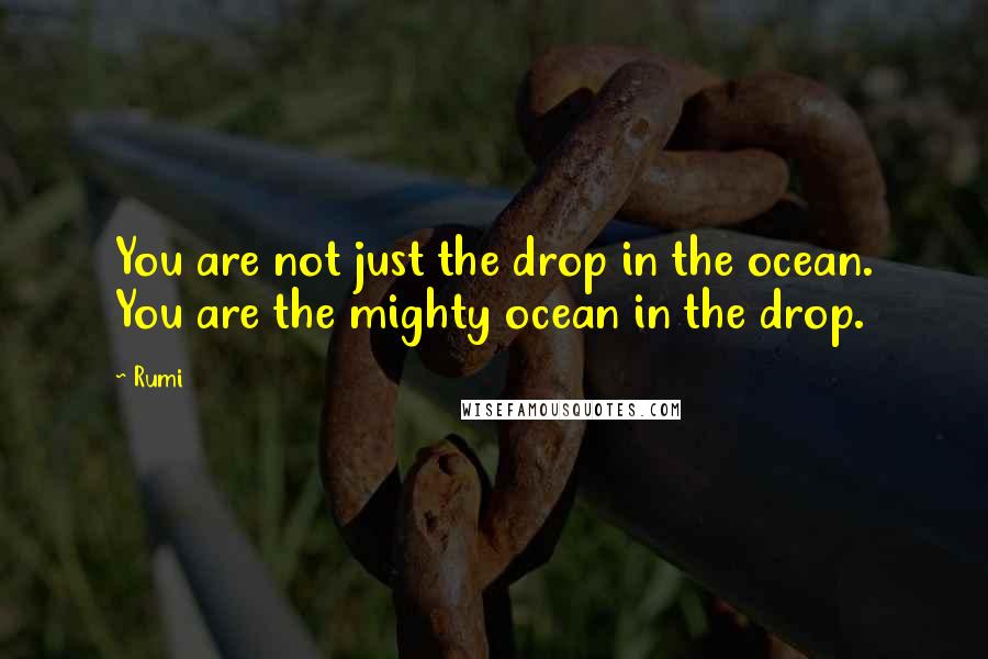 Rumi Quotes: You are not just the drop in the ocean. You are the mighty ocean in the drop.