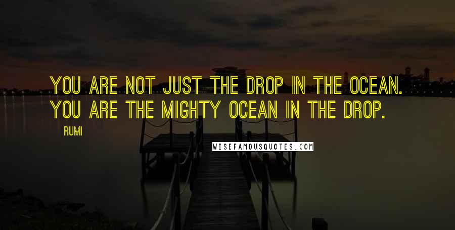 Rumi Quotes: You are not just the drop in the ocean. You are the mighty ocean in the drop.