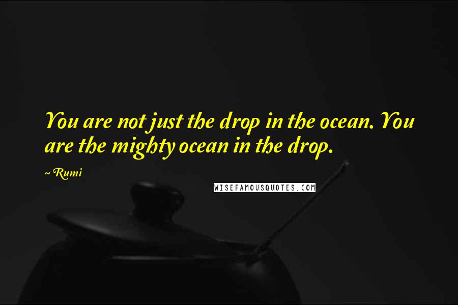 Rumi Quotes: You are not just the drop in the ocean. You are the mighty ocean in the drop.