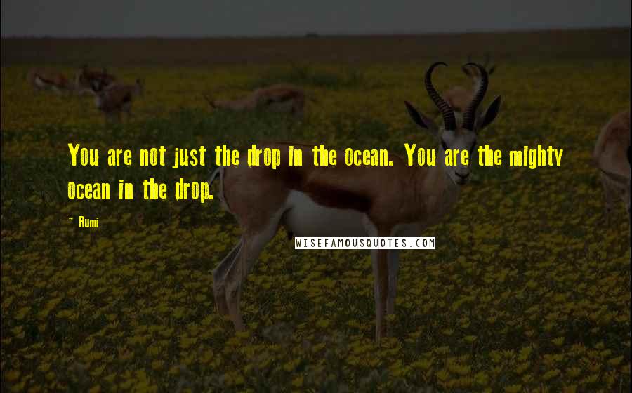 Rumi Quotes: You are not just the drop in the ocean. You are the mighty ocean in the drop.
