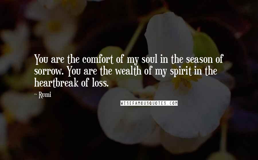 Rumi Quotes: You are the comfort of my soul in the season of sorrow. You are the wealth of my spirit in the heartbreak of loss.