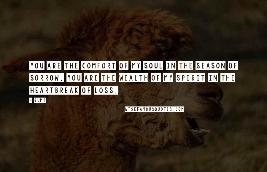Rumi Quotes: You are the comfort of my soul in the season of sorrow. You are the wealth of my spirit in the heartbreak of loss.