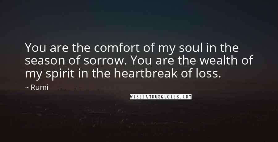 Rumi Quotes: You are the comfort of my soul in the season of sorrow. You are the wealth of my spirit in the heartbreak of loss.