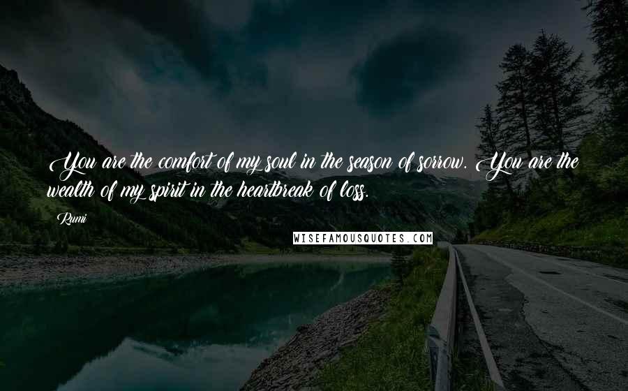 Rumi Quotes: You are the comfort of my soul in the season of sorrow. You are the wealth of my spirit in the heartbreak of loss.