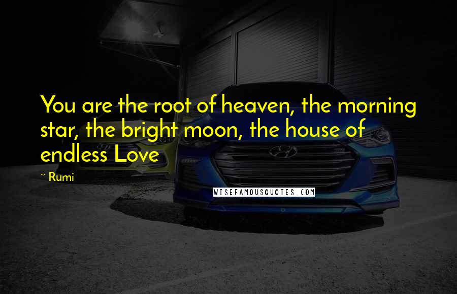 Rumi Quotes: You are the root of heaven, the morning star, the bright moon, the house of endless Love