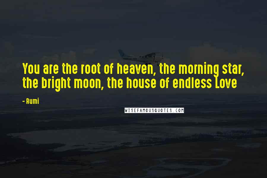 Rumi Quotes: You are the root of heaven, the morning star, the bright moon, the house of endless Love