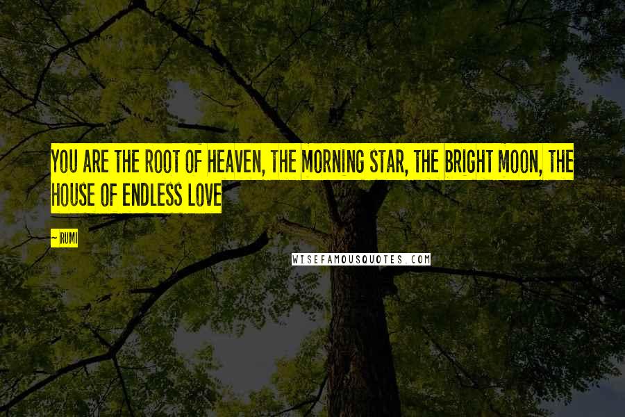 Rumi Quotes: You are the root of heaven, the morning star, the bright moon, the house of endless Love