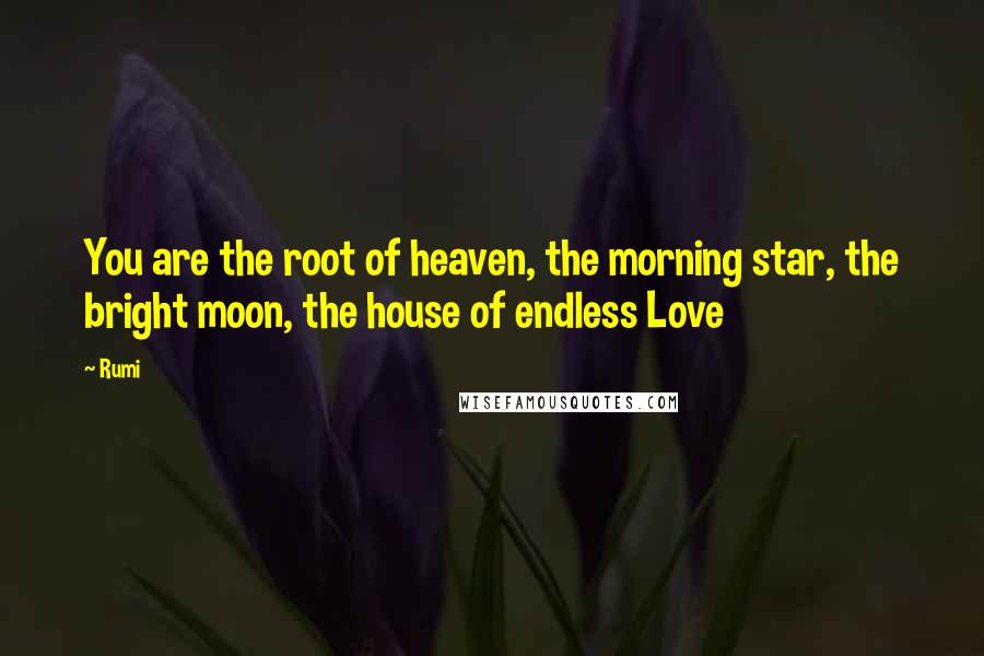 Rumi Quotes: You are the root of heaven, the morning star, the bright moon, the house of endless Love